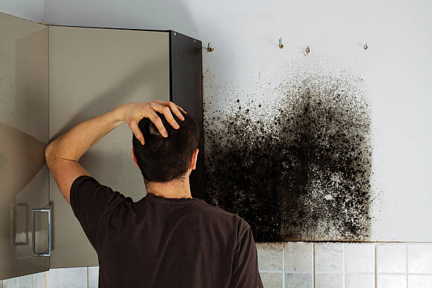 Crawl Space Mold Removal in Winter Beach, FL
